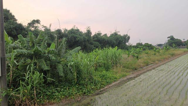 嘉義民雄農地-1