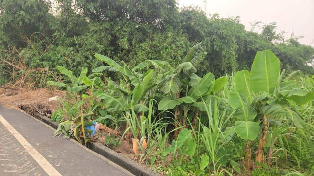 嘉義民雄農地-3