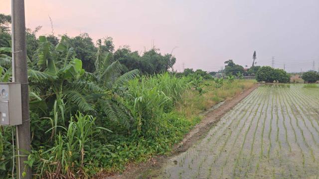 嘉義民雄農地-4