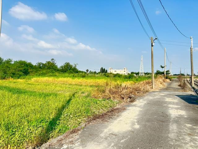 水林農地-2