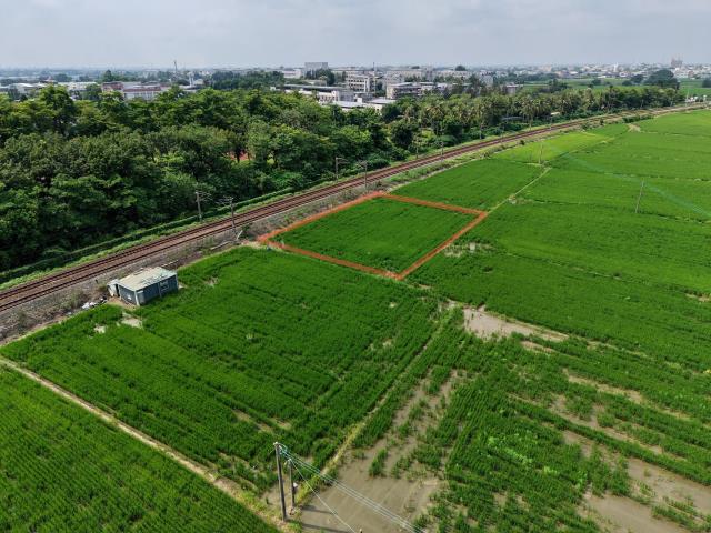 民雄農地-2