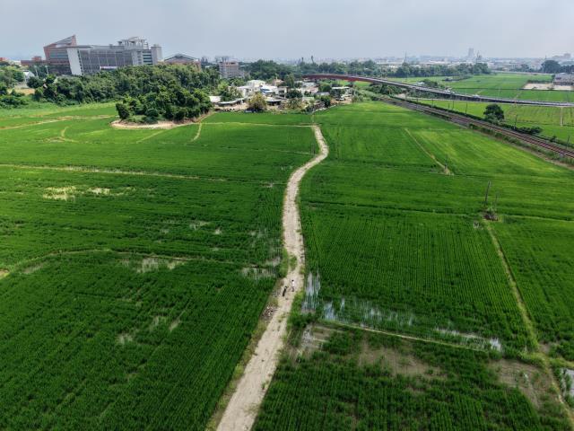 民雄農地-3