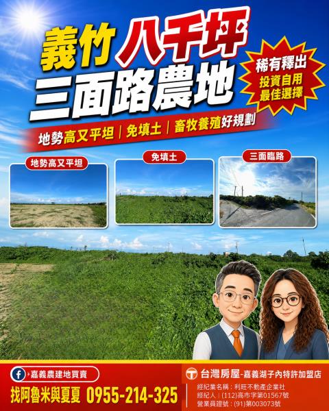 義竹農地-0