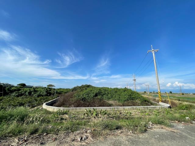 義竹農地-2