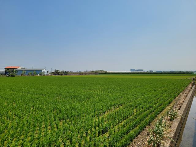太保農地-1