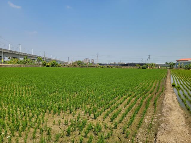 太保農地-3