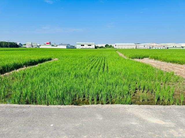嘉義西區農地-1