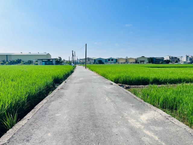 嘉義西區農地-2