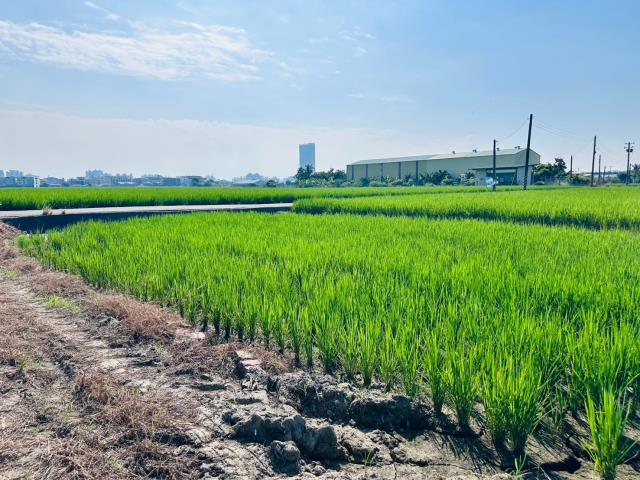 嘉義西區農地-3